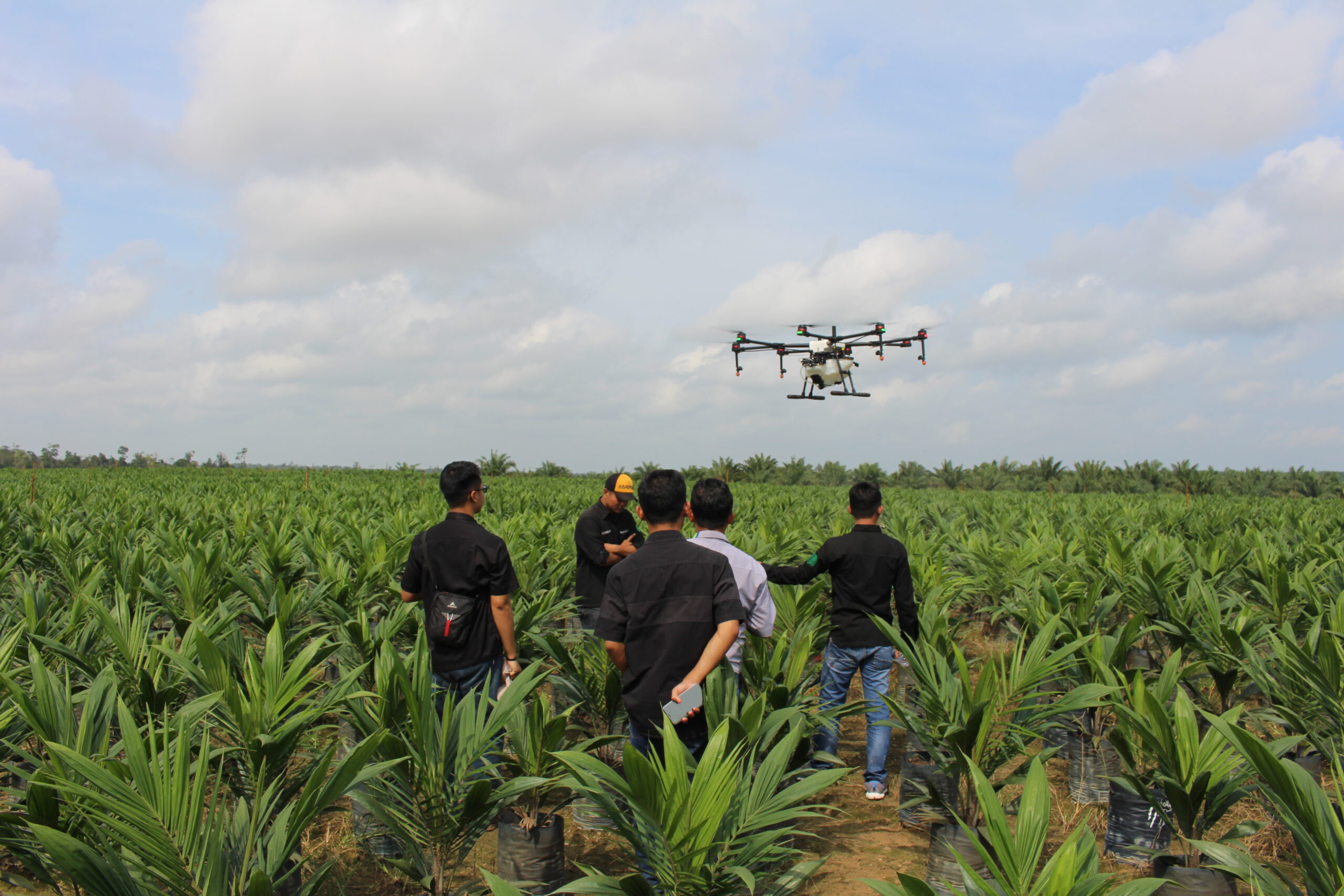 smart farming